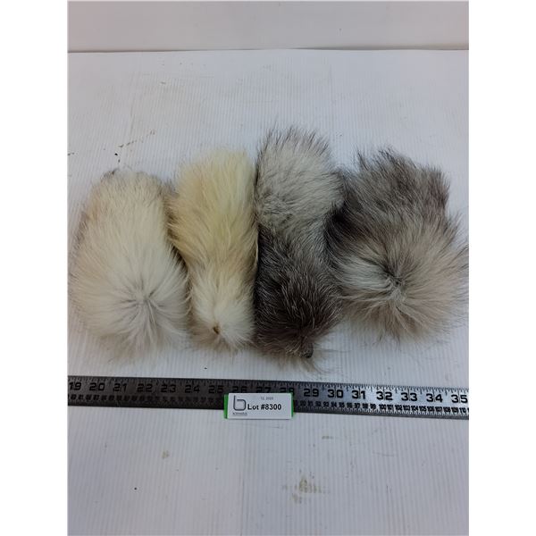 (4) Scraps of Fur