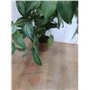 Image 2 : Artificial Plant 36"  -  PICK UP ONLY