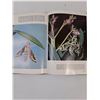 Image 5 : Encyclopedia Of Butterflies And Moths