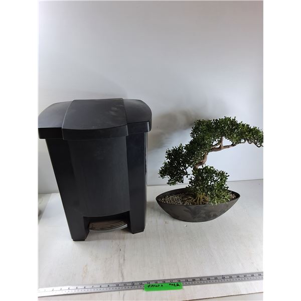 Black Garbage Bin, Decorative Bonsai Tree - PICK UP ONLY
