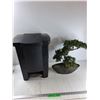 Image 1 : Black Garbage Bin, Decorative Bonsai Tree - PICK UP ONLY