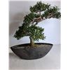 Image 5 : Black Garbage Bin, Decorative Bonsai Tree - PICK UP ONLY