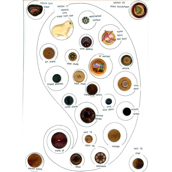 A full card of assorted Vegetable IV. Buttons