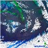 Image 2 : Untitled Abstract by Wyland Original