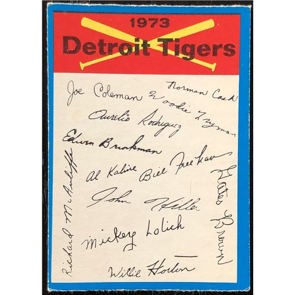 1973 O-PEE-CHEE DETROIT TIGERS