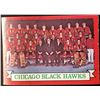 Image 1 : 1973-74 TOPPS CHICAGO BLACK HAWKS