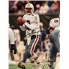 Image 1 : Dan Marino signed photo