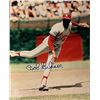 Image 1 : St Louis Cardinals Pitcher Robert Gibson Signed Photo