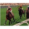 Image 1 : Horse Jockey Steve Cauthen Signed Photo