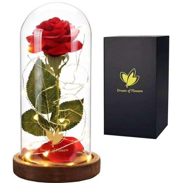 Dream of Flowers Beauty and The Beast Red Enchanted Rose That Last Forever in Glass Dome with Fairy 