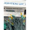 Image 3 : Novelty Lights Commercial Grade Mini Lights 100-Light Set 50 ft