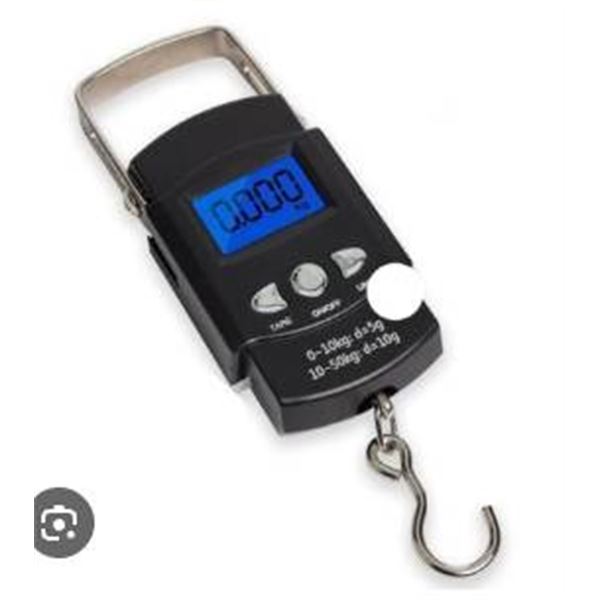 HS-A09L 50Kg Portable Electronic Scale with LCD Display and Hook