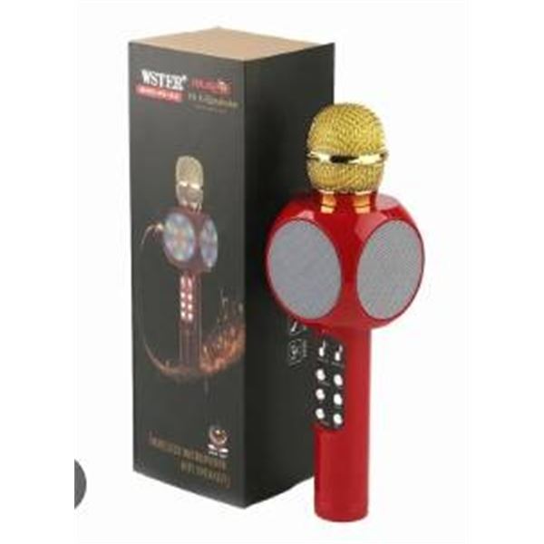 WSTER WS-1816 Wireless Microphone and Hi-Fi Speaker with TF/USB/FM Radio