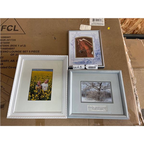 Three Framed Pictures and Artwork