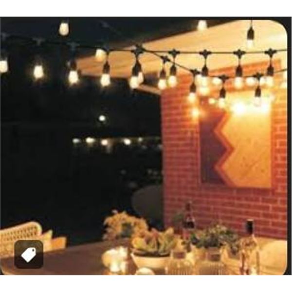 Feit 48-Foot LED String Lights with Decorative Filament Bulbs 2200K