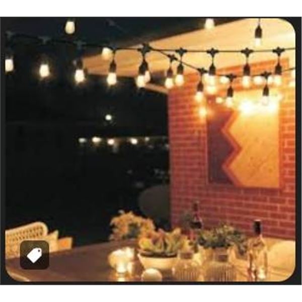 Feit 48-Foot LED String Lights with Decorative Filament Bulbs 2200K