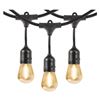 Image 1 : 48′ Black Commercial Medium String Light