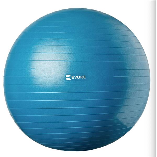Evoke Guided Exercise Ball, 75 cm (29.9 in), Blue