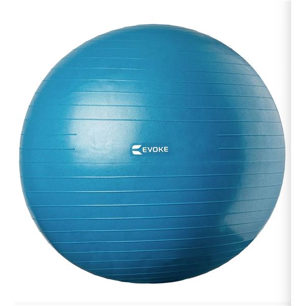 Evoke Guided Exercise Ball, 75 cm (29.9 In) with Workout Guide