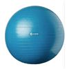 Image 1 : Evoke Guided Exercise Ball, 75 cm (29.9 In) with Workout Guide