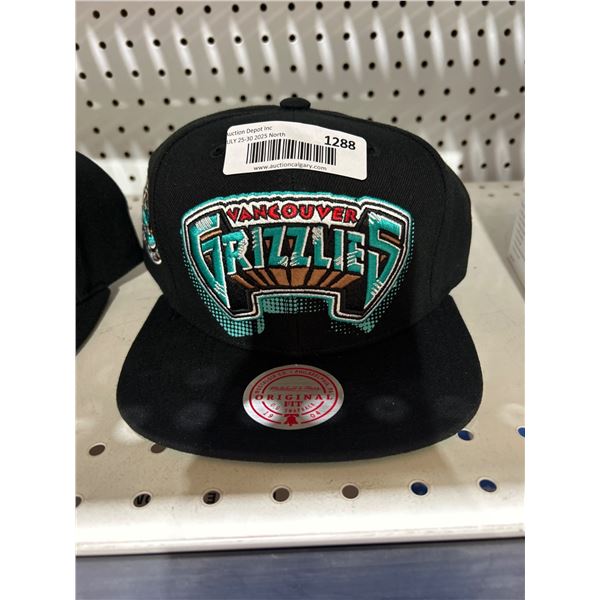 Mitchell & Ness Vancouver Grizzlies Adjustable Snapback Hat