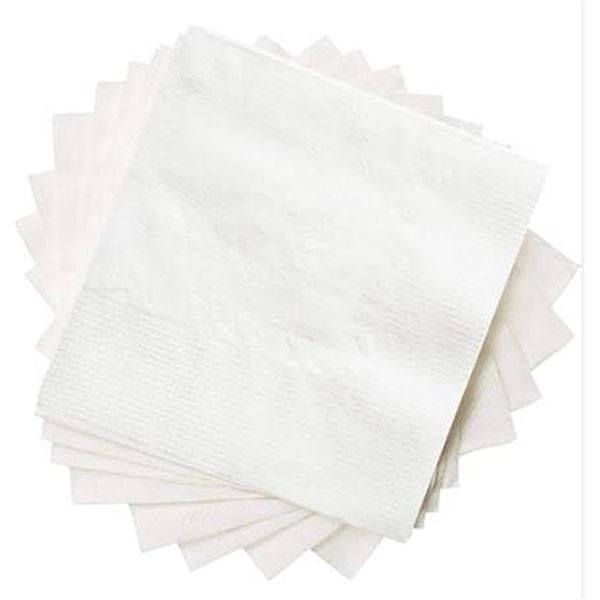 Kirkland Signature Casual Dining Napkins 1040 Count