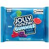 Image 1 : Jolly Rancher Gummies 24 x 96g