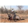 Image 7 : Namibia Hunt for 3 Hunters with 3 Oryx Included