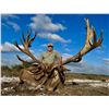 Image 7 : Argentina Big Game Red Stag Experience for 2 Hunters and 2 Trophy Fees