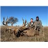 Image 11 : Argentina Big Game Red Stag Experience for 4 Hunters with 4 Trophy Fees Included