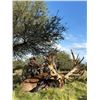 Image 4 : Argentina Big Game Red Stag Experience for 4 Hunters with 4 Trophy Fees Included