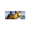 Image 7 : Argentina Golden Dorado Fishing For 2 Anglers