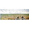 Image 3 : Argentina Dove Hunting for 2 Hunters