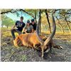 Image 2 : OX RANCH: 3-Day Exotic Species Hunt for One Hunter/One NH in TX-Includes Trophy/Taxidermy Credits