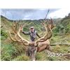 Image 1 : WANGANUI: 5-Day Red Stag Hunt for Two Hunters and Two NHs in New Zealand - Includes Trophy Fees