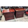 Image 1 : PAIR OF 2 DRAWER NIGHTSTANDS