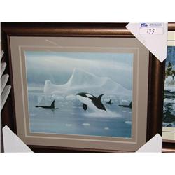 Framed Print Orcas