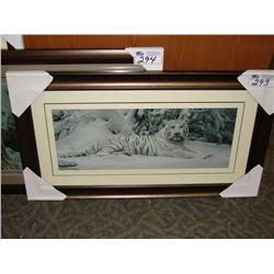 Framed Print Siberian Tiger