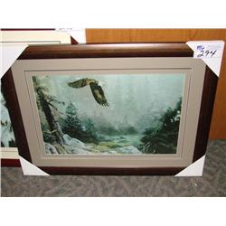 Framed Print Eagle