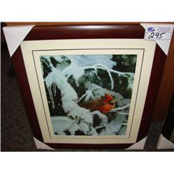 Framed Print Chickadee