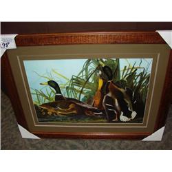 Framed Print Ducks
