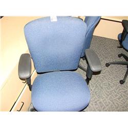 Blue Multi Lever Task Chair