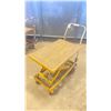 Image 3 : HYDRAULIC LIFT MOBILE PLATFORM DOLLY