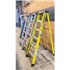 Image 1 : GROUP OF 3 - 6' FEATHERLITE STEP LADDERS