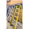 Image 2 : GROUP OF 3 - 6' FEATHERLITE STEP LADDERS