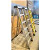 Image 4 : GROUP OF 3 - 6' FEATHERLITE STEP LADDERS