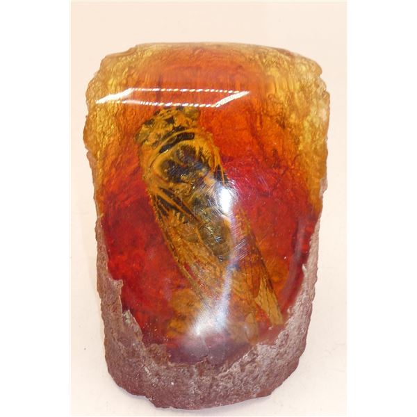 NEPAL CICADA SEALED SAMPLE
