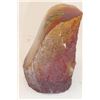 Image 2 : NEPAL CICADA SEALED SAMPLE