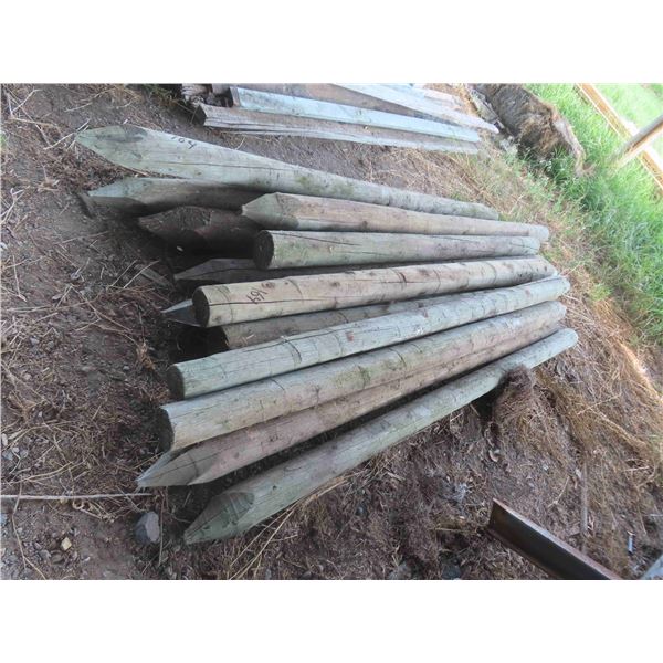 13 Fence Posts 8ft, 4-6" Diameter