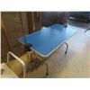 Image 4 : Dogs Grooming Table 47 x 24